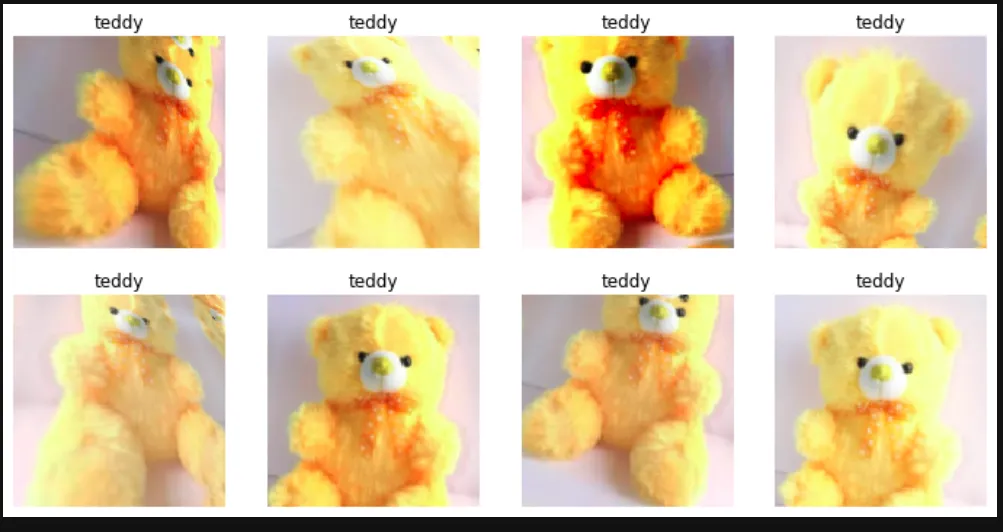 Examples of image transformations used for data augmentation